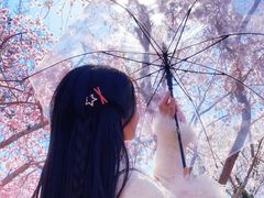 -桃花堤公园