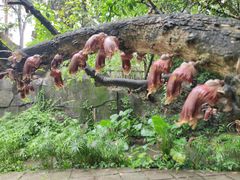 -广州兰圃