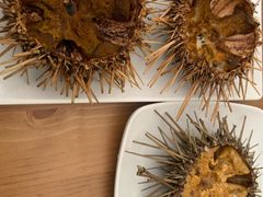 -海胆小馆(东北水饺·春柳店)