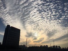 -光明港公园