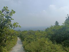 -北京西山国家森林公园