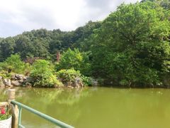 -陶祖圣境风景区