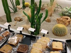 -OUR Bakery(SKP-S店)