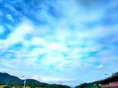-亚龙湾国际玫瑰谷
