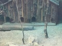 -昆明动物园