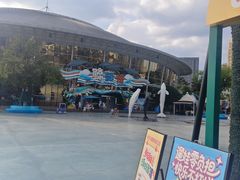 -海合安成都极地海洋公园