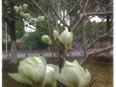 -江南大学(蠡湖校区)