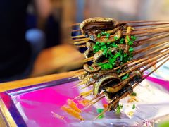 -晓靖轩烧烤(沙河风情店)