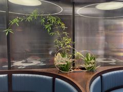 -湖畔鲁菜·二十年老字号餐厅(大明湖店)
