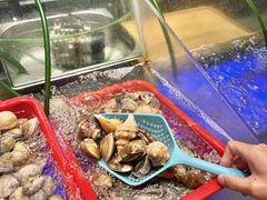-深圳温德姆至尊酒店