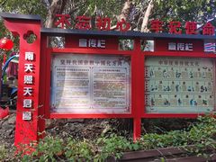 -金鸡山公园