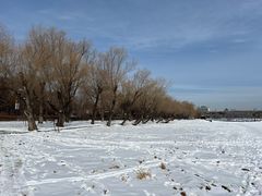 -长春市南湖公园