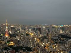 -六本木新城展望台(东京城市景观)