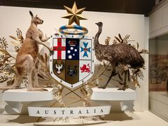 -墨尔本博物馆(Melbourne Museum)