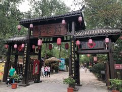 -合肥滨湖国家森林公园