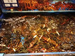 -东海怡品海鲜豆捞(舟宿夜江店)