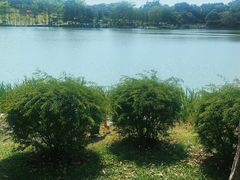 -东莞植物园