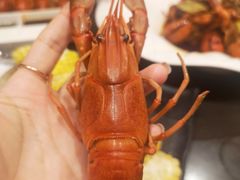 澳洲小龙虾-虾胡闹·澳洲小龙虾·烧烤(福田鲨鱼店)