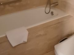 -扬州绿地铂骊酒店