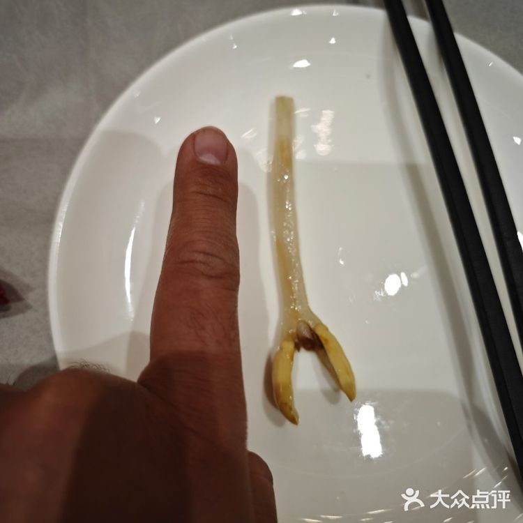 深圳巨型豆芽菜 哈哈哈哈哈 ​