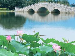 -飞来湖湿地公园