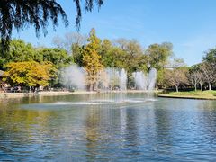 -上海共青森林公园