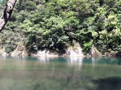 iphone_upload_pic-龙湾潭国家森林公园