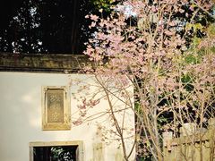 -乌山风景区