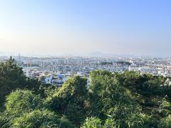 -仙岳公园