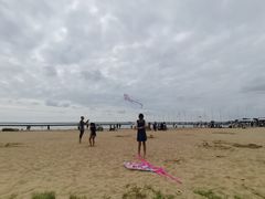 -碧海金沙