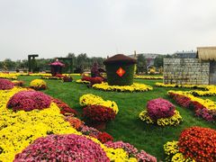 -廊坊文化艺术中心