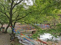 -水墨汀溪风景区
