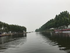 -白洋淀景区
