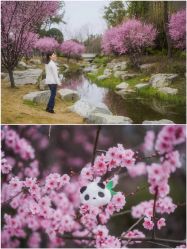 -金牛宾馆·婚寿宴预定中心