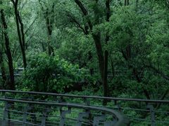 -西湖风景区-江洋畈生态公园