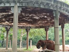 -上海动物园(地铁站)