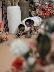 -Sunny喜铺婚礼策划(东部店)