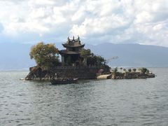 -阿鹏故事云南野生菌火锅(人民路店)