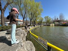 -朝阳公园游乐园