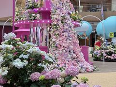 -上海长风大悦城