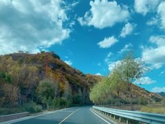 -塞罕坝国家级自然保护区