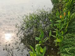 -海兰云天度假区温泉