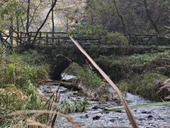 -秦岭终南山世界地质公园翠华山景区