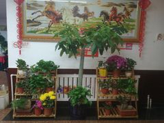 -北京龙庆四季香农家饭庄·灶台鱼·碳烤虹鳟鱼(龙庆峡店)