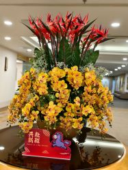 -北京明德医院·医疗美容