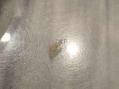 -恩宁刘福记(东华东路店)