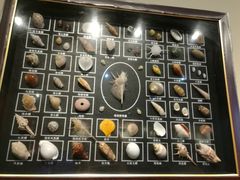 -北戴河圣蓝海洋公园