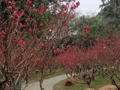-桃花涧