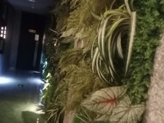 -古越堂影院式足道(九堡店)
