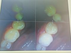 -牙博士口腔品牌连锁(杨浦店)